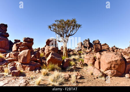 Spielplatz, ein natürlicher Steingarten in Keetmanshoop, Namibia des Riesen. Stockfoto