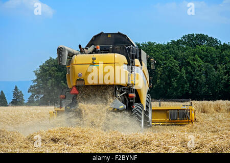 New Holland CX8080, Mähdrescher, Ernte von Winterweizen, Kanton Genf, Schweiz Stockfoto