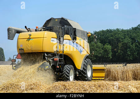 New Holland CX8080, Mähdrescher, Ernte von Winterweizen, Kanton Genf, Schweiz Stockfoto