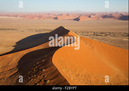 Sanddünen in der Wüste Namib Kameldornbäume (Acacia Erioloba) wachsen entlang das trockene Flussbett des Tsauchab river Stockfoto