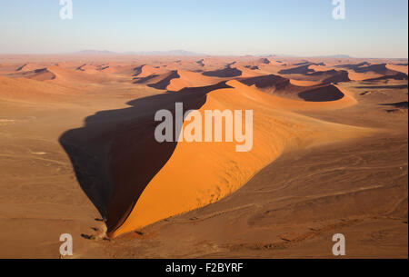 Sanddünen in der Wüste Namib Kameldornbäume (Acacia Erioloba) am Fuße der Düne in der Abend, Luftbild-Ansicht Stockfoto