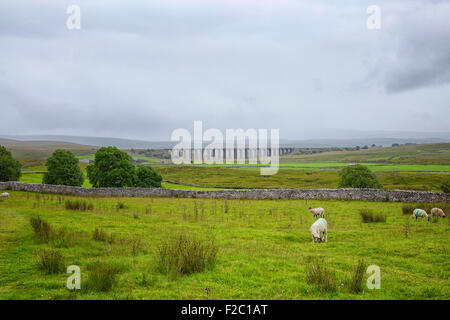 Ribblehead-Eisenbahnbrücke in Yorkshire Stockfoto