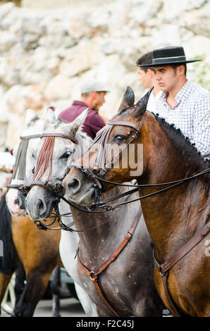 Männer auf Pferden Cordobes Hüte in traditioneller Tracht tragen, während der Feria von Mijas Andalusien, Spanien. Stockfoto