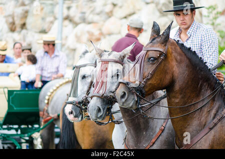 Männer auf Pferden Cordobes Hüte in traditioneller Tracht tragen, während der Feria von Mijas Andalusien, Spanien. Stockfoto