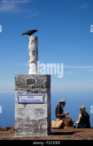 Rabe auf der Suche der Roque de Los Muchachos, La Palma, Kanarische Inseln, Spanien Stockfoto