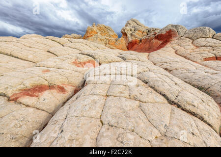 Sandstein-Felsformation an der White Tasche, Paria Plateau im nördlichen Arizona, USA Stockfoto