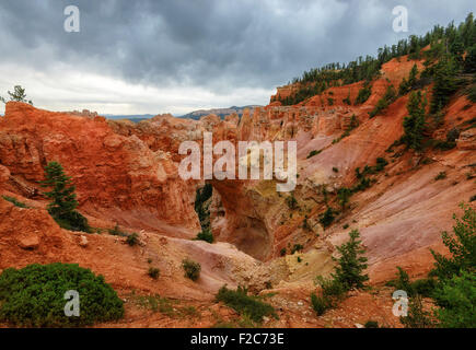 Natural Stone Bridge/Bogen am Bryce Canyon, Utah Stockfoto