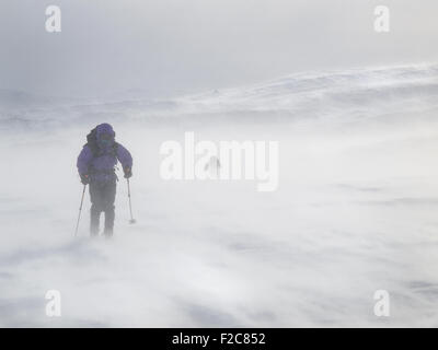 Skifahren in einem Schneesturm in Nord-Norwegen Stockfoto