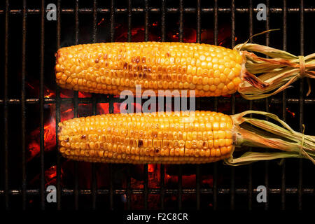 Ganze Zuckermais mit Blättern auf heiße Kohle Feuer gegrillt. Von oben gesehen Stockfoto