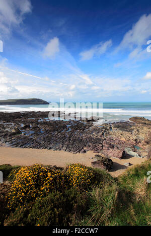 Zerklüftete Küste, Padstow Bay, Padstow Stadt, Grafschaft Cornwall, England, UK Stockfoto