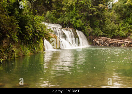 Maraetotara falls Scenic Reserve Hawkes Bay North Island, Neuseeland Stockfoto