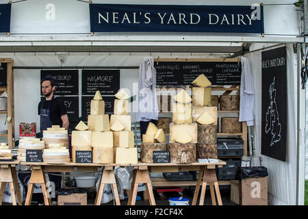 Käse auf dem Display zum Verkauf bereit. Stockfoto