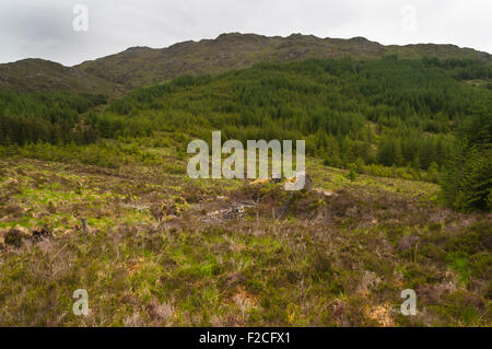 Blick hinunter auf den Überresten des Hauses Wasserrad an der stillgelegten Corrantee führen Mine, Sunart, Schottland. Stockfoto