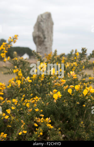 Carnac in Nordfrankreich, neolithische Steinbau 10000 Steine in der Bretagne Stockfoto