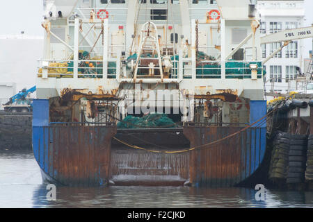 Island ist einzigartig-Sitzung im Nordatlantik mit unverschämten Landschaft-es ist ein Geologe Paradies Stockfoto