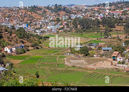 Reisfelder und die Stadt Fianarantsoa im Südosten Afrikas Haute Matsiatra, Madagaskar, Stockfoto