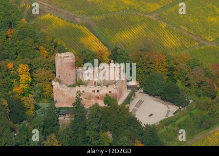 Frankreich, Bas Rhin (67), Weine Straße, Kintzheim, Burg von Kintzheim und Weinberge im Herbst (Luftbild) / / Bas Rhin (67), Stockfoto