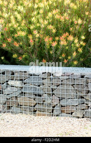 Felsen-Stützmauer oder auch bekannt als Gabione Stützmauer Stockfoto