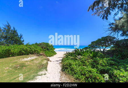 Weg zum Strand, Kailua, Oahu Hawaii Stockfoto