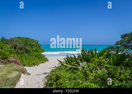 Weg zum Strand, Kailua, Oahu Hawaii Stockfoto