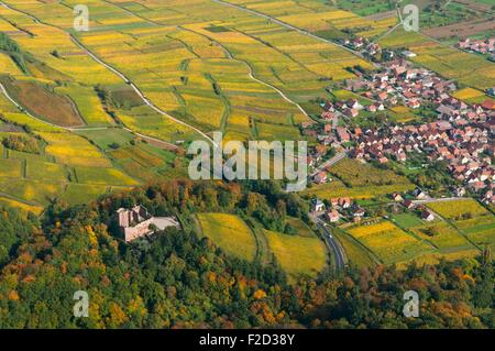 Frankreich, Bas Rhin (67), Weine Road, Dorf von Kintzheim, Burg von Kintzheim und Weinberge im Herbst (Luftbild) / / Bas Stockfoto