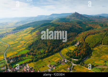 Frankreich, Bas Rhin (67), Weine Road, Kintzheim, Weinberge auf Hügel im Herbst, Burg von Kintzheim und hinteren Burg Haut-Koeni Stockfoto