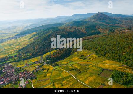 Frankreich, Bas Rhin (67), Weine Road, Kintzheim, Weinberge auf Hügel im Herbst, Burg von Kintzheim und hinteren Burg Haut-Koeni Stockfoto