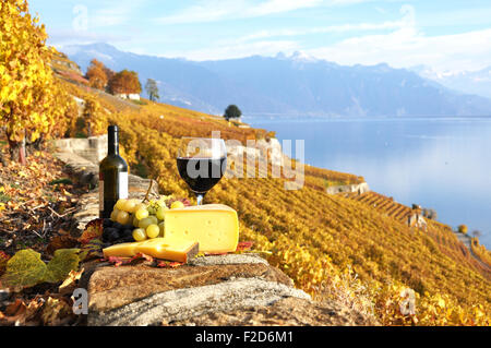 Rotwein und Trauben auf der Terrasse des Weingut in der Region Lavaux, Schweiz Stockfoto
