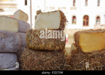 Italienische Käse bedeckt eine Schicht Heu oder Schlacke Stockfoto