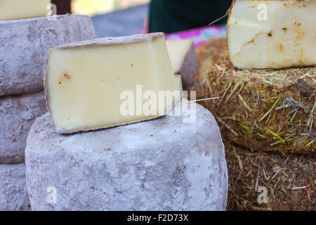 Italienische Käse bedeckt eine Schicht Heu oder Schlacke Stockfoto