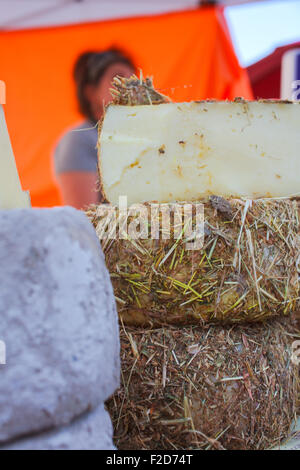 Italienische Käse bedeckt eine Schicht Heu oder Schlacke Stockfoto