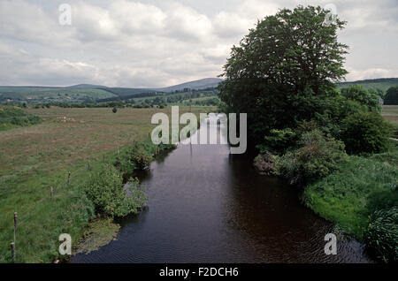 Fluss Liffey in der Nähe der Quelle, County Wicklow, genannt, in James Joyce "Finnegans Wake" Anna Livia Plurabelle Whoes Name verkörpert den Fluss, Irland Stockfoto