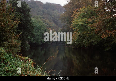 Fluss Liffey im Herbst, County Dublin, genannt, in James Joyce "Finnegans Wake" Anna Livia Plurabelle Whoes Name verkörpert den Fluss, Irland Stockfoto