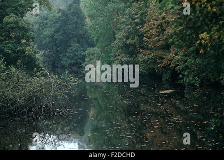 Fluss Liffey, County Dublin, genannt, in James Joyce "Finnegans Wake" Anna Livia Plurabelle Whoes Name verkörpert den Fluss, Irland Stockfoto