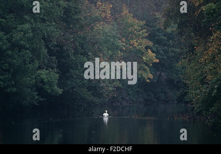 Fluss Liffey, County Dublin, genannt, in James Joyce "Finnegans Wake" Anna Livia Plurabelle Whoes Name verkörpert den Fluss, Irland Stockfoto