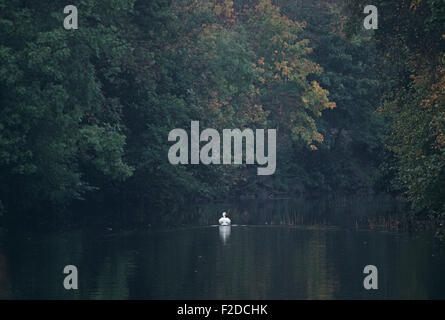 Fluss Liffey, County Dublin, genannt, in James Joyce "Finnegans Wake" Anna Livia Plurabelle Whoes Name verkörpert den Fluss, Irland Stockfoto