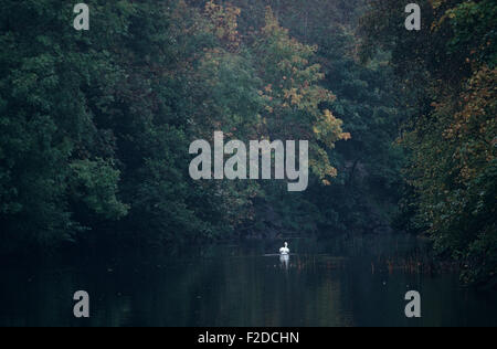 Fluss Liffey, County Dublin, im Sinne des James Joyce "Finnegans Wake" als Anna Livia Plurabelle, den Fluss, Irland verkörpert Stockfoto