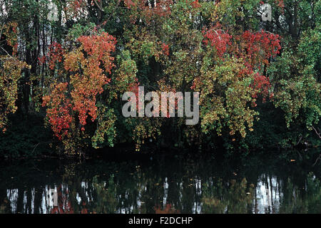 Fluss Liffey im Herbst, County Dublin, genannt, in James Joyce "Finnegans Wake" Anna Livia Plurabelle Whoes Name verkörpert den Fluss, Irland Stockfoto