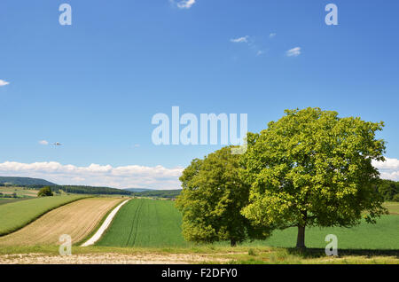 Sommerlandschaft, Schweiz Stockfoto