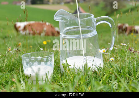 Milch und Kühe. Region Emmental, Schweiz Stockfoto