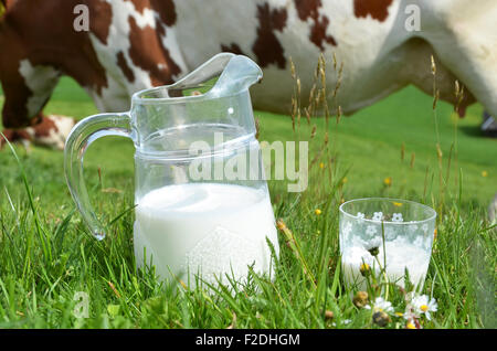 Milch und Kühe. Region Emmental, Schweiz Stockfoto