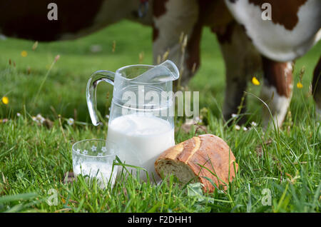 Milch und Kühe. Region Emmental, Schweiz Stockfoto