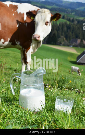 Milch und Kühe. Region Emmental, Schweiz Stockfoto