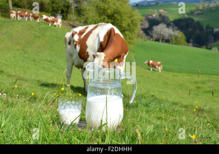 Milch und Kühe. Region Emmental, Schweiz Stockfoto