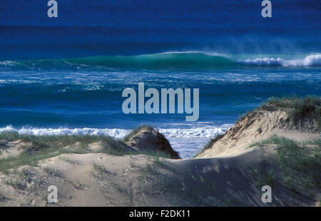 Küstenlandschaft, Stradbroke Island, Moreton Bay, Queensland, Australien.die Sandinsel liegt am nördlichen Ende der Gold Coast von Queensland. Stockfoto