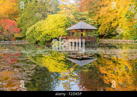 Pavillon und Teich, Garten am Hatley Park, Hemlocktannen, Greater Victoria, British Columbia, Kanada Stockfoto