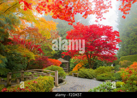 Herbst Farben, japanischer Garten, Butchart Gardens, Brentwood Bay, Vancouver Island, British Columbia, Kanada Stockfoto