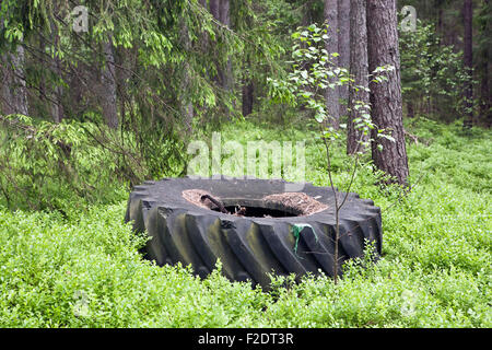 Abfälle Reifen im Wald Stockfoto