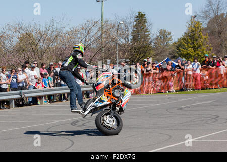 VICTORIA/Australien - SEPTEMBER 2015: Motorrad Stuntfahrer erklingt in einer lokalen Autoshow auf den 13. September 2015 in Corowa. Stockfoto