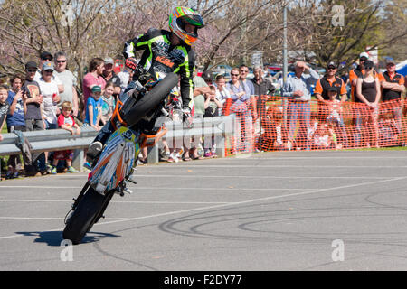 VICTORIA/Australien - SEPTEMBER 2015: Motorrad Stuntfahrer erklingt in einer lokalen Autoshow auf den 13. September 2015 in Corowa. Stockfoto